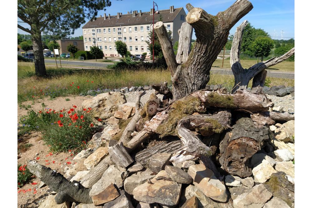 Fachkongress &bdquo;Mehr Vielfalt wagen!&ldquo;